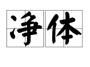 净体，净体通黄精人参固体饮料