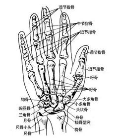 快手怎么拍长视频?