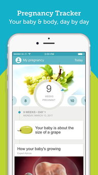 孕期app，孕期app排名
