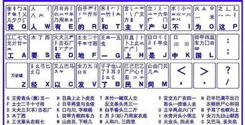 智能五笔输入法，智能五笔输入法也可以用拼音输入汉字对吗