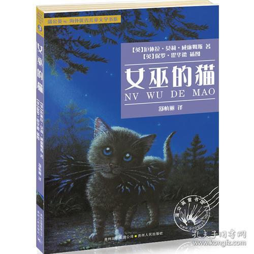 为啥女巫养黑猫,不养白猫?