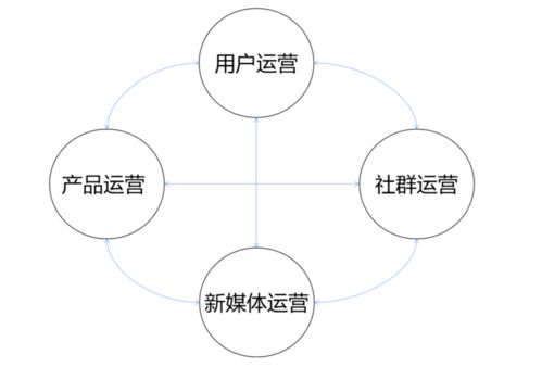 人的一生分几个阶段?各阶段有什么特征