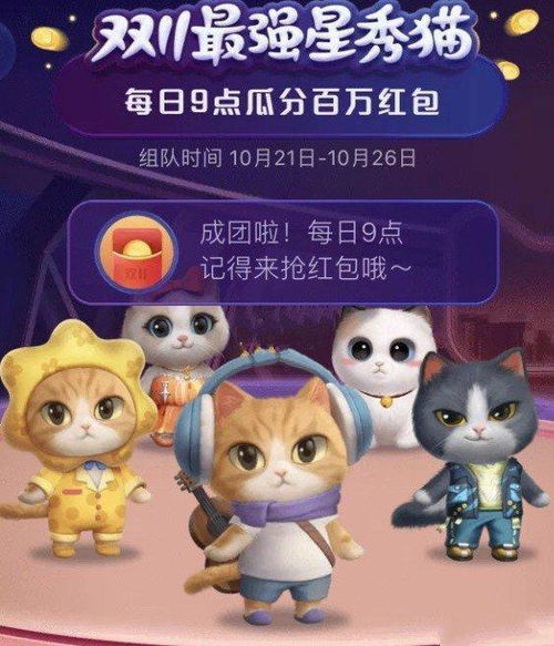 星秀猫，星秀猫2022