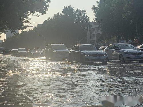 暴雨图，暴雨图标