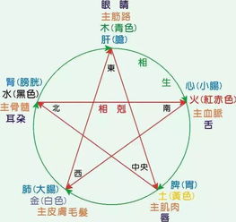 五行元素，五行元素相生相克