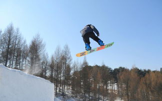 冬奥会自由式滑雪障碍赛规则详解