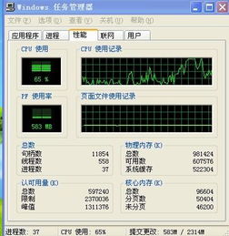 双核补丁下勒之后怎么用吖