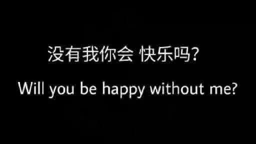 我又想你了,真的想你了是那首歌的啊