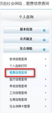 我的社保查询 明细