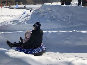 和平精英雪地越野车原型