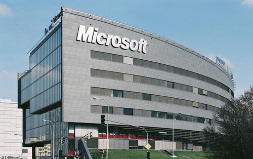 microsoft是什么意思