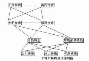 卡特尔组织，卡特尔组织的例子