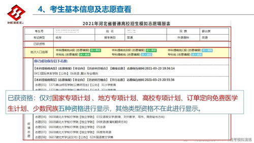 模拟填报