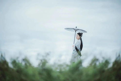 风雨图片，风雨图片大全大图狂风暴雨真实图片