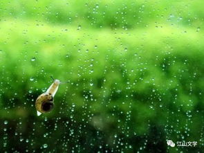 春雨细无声，春雨细无声当春乃发生