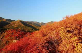 香山网，香山网珠海