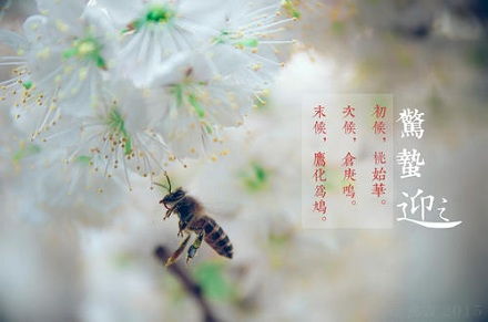 惊蛰的拼音，惊蛰的拼音和意思