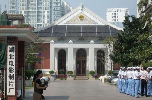 武汉十大烂厂，武汉十大烂厂真的