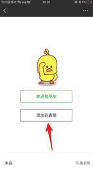 闪萌表情，闪萌表情包免费取图