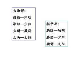 经络名词解释