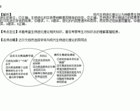 进化的实质是什么