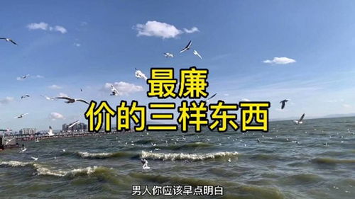 永远免费的加速器下载