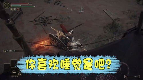 艾尔登之环steam，艾尔登之环百度百科