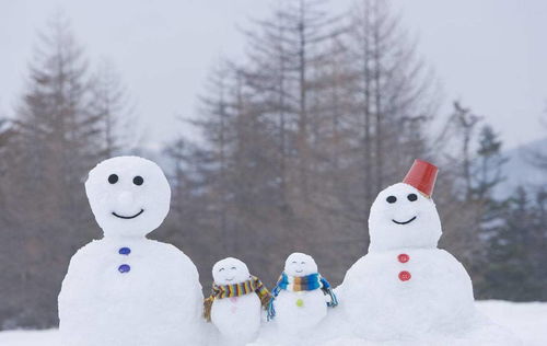 动森怎么堆雪人，怎么堆雪人视频教程