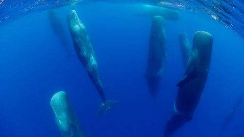 神秘海域4流程