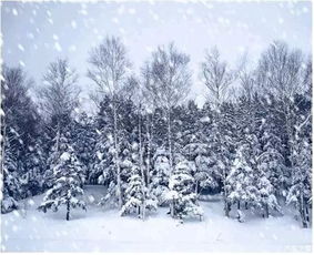 下雪动图特效，下雪动图唯美