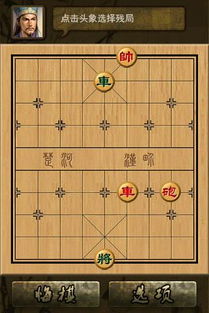 国家象棋大师有哪些称号?