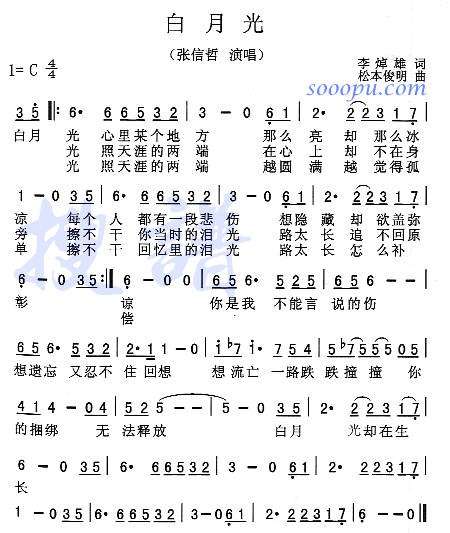 歌曲白月光与朱砂痣，歌曲白月光表达的含义