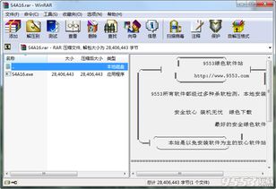 dynamo0.9.1什么意思