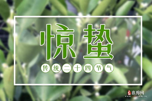 惊蛰节气的特点和风俗