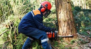 高楼清洁工、伐木工有多危险呢?