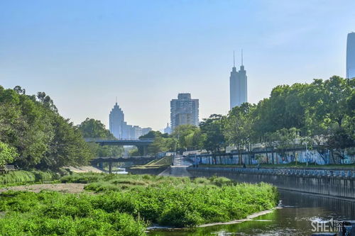 深圳天气预报一周 7天，深圳天空之城