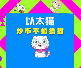 猫币第二天会清零吗，猫币怎么升级快