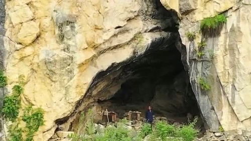 《光遇》雨林的神秘山洞在哪?