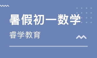 初中网上课程免费网站有哪些比较好