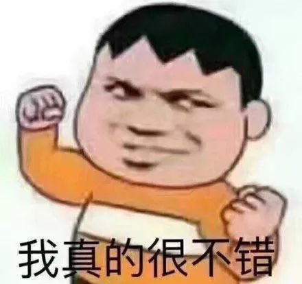 我真的是正派，我真的是反派啊TXT下载