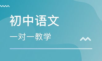 免费初中课程网课平台推荐，免费初中课程网课乐乐课堂