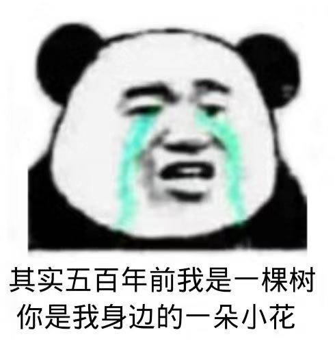 是我是我还是我，是我是我就是我下一句是什么