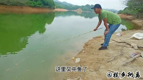 钓鱼地点原神，原神钓鱼地点分布图