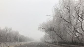 忽如一夜春风来,千树万树梨花开是什么季节的，忽如一夜春风来是什么季节的意思