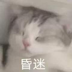 《狗吐丝离谱》是什么梗