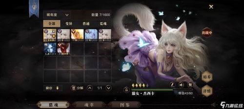 魔兽世界怀旧服60级战士用什么套装好