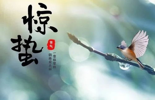 惊蛰是什么意思啊怎么读音，惊蛰是什么意思啊怎么读