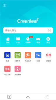 绿叶浏览器怎么没了，绿叶浏览器iOS