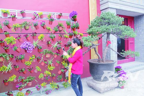 花朝节活动策划，幼儿园花朝节活动