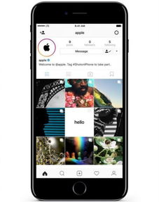 苹果怎么登陆instagram详细教程，苹果怎么登陆instagram悦游